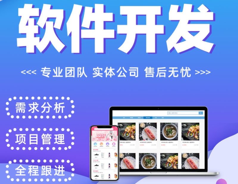 广州软件开发：创新引擎推动企业前行